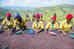 Anaerobic Coffee
