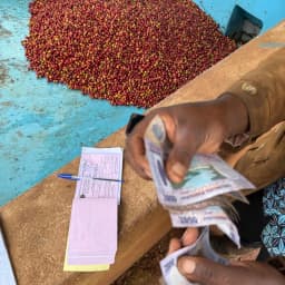 Musasa Development Fund