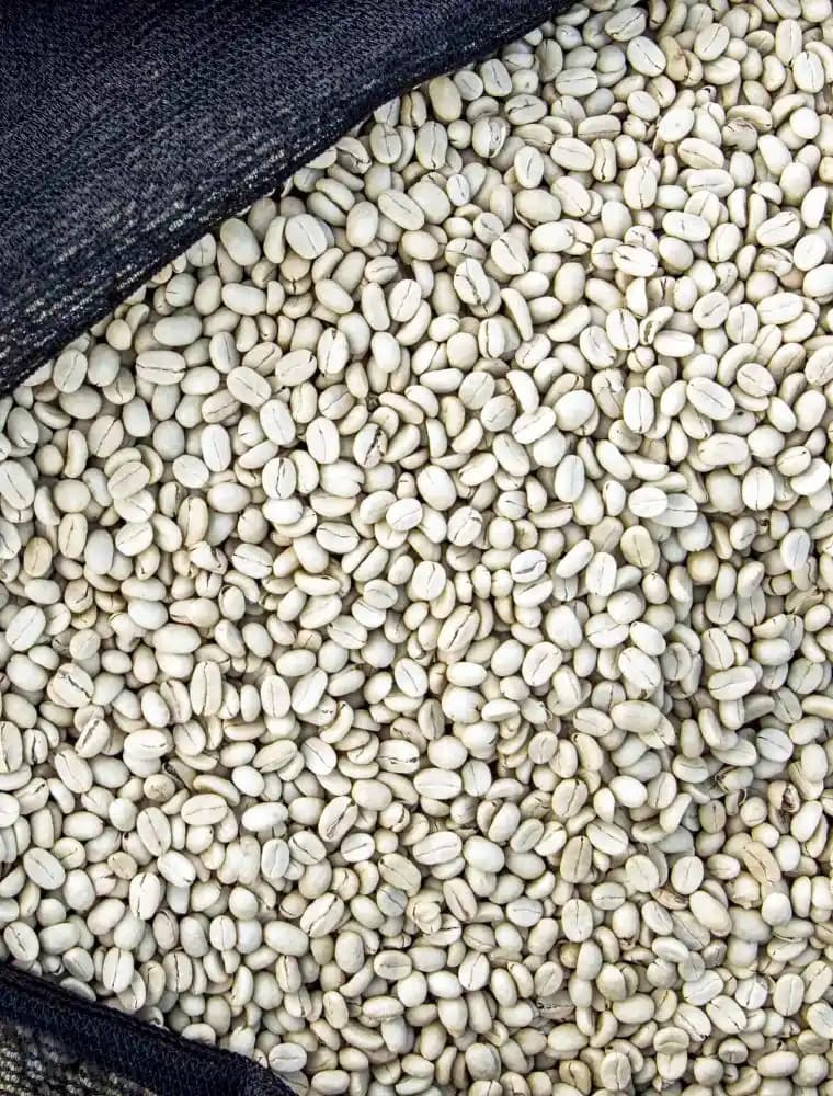 Fully Washed Coffee