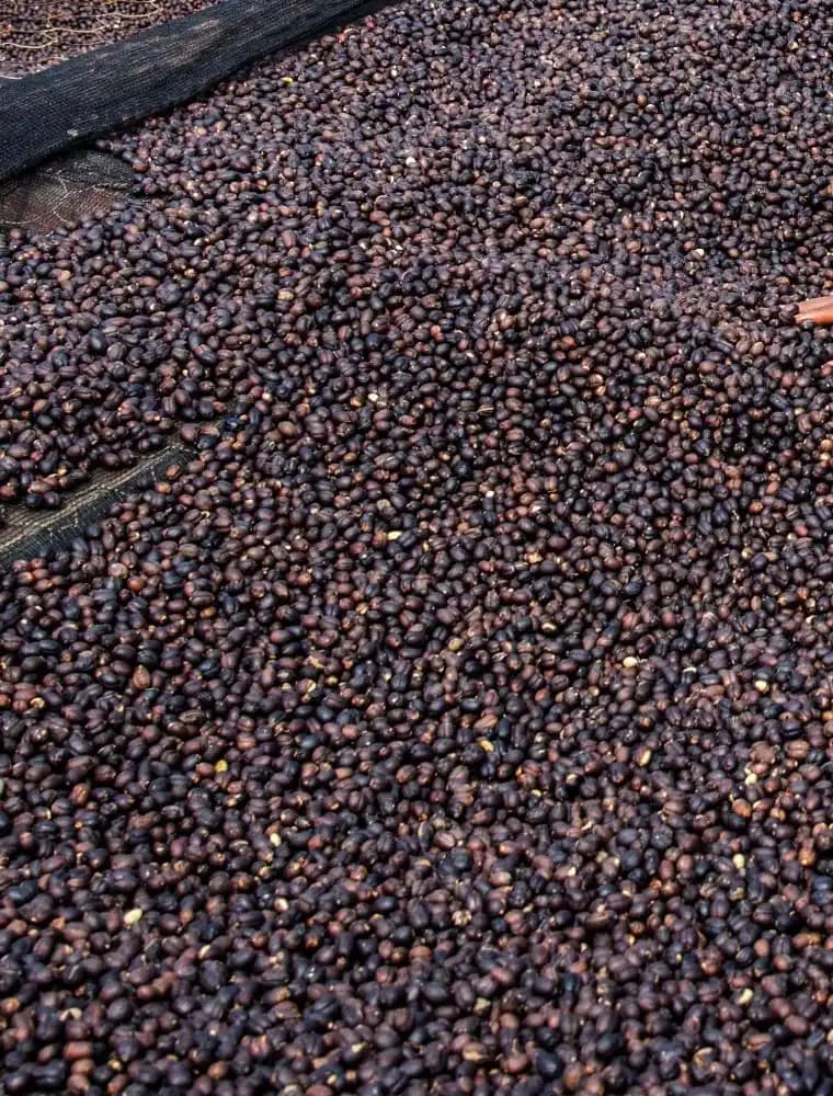 Natural Coffee