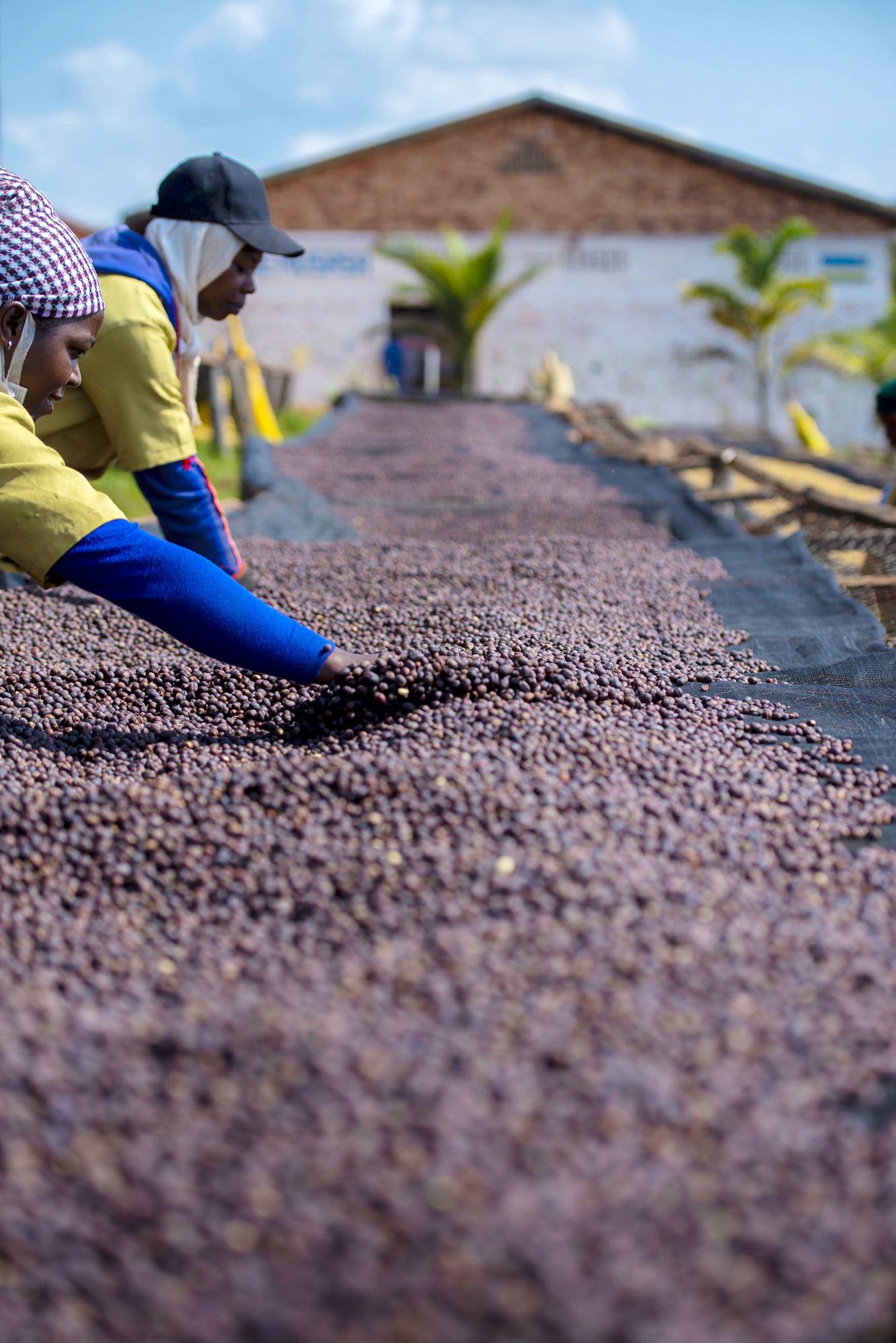 Natural coffee